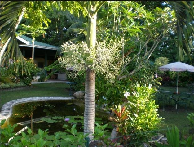 Diguoise Guest House La Digue Bagian luar foto