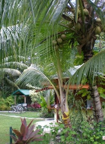 Diguoise Guest House La Digue Bagian luar foto